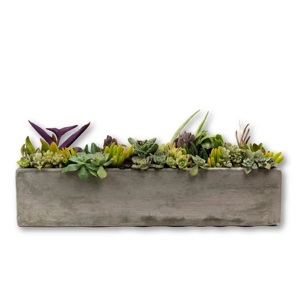 Medium Rectangular Planter // Concrete Unicorn White