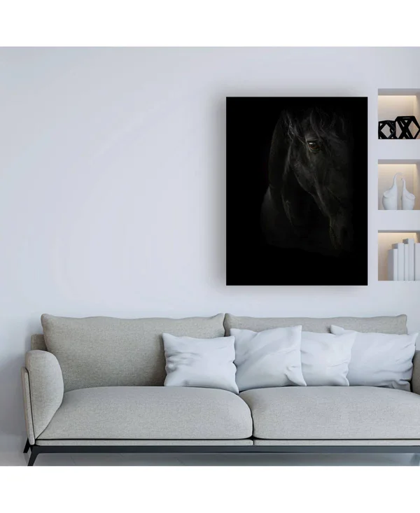 Trademark Fine Art Ic01757-C1824Gg PhotoINC Studio 'Black Pearl' Canva