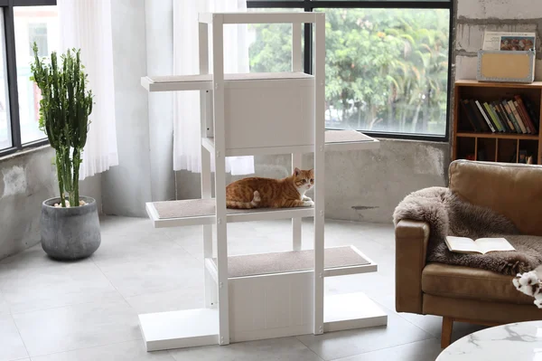 Zoovilla Toy0151720110 Bookshelf Cat Tree