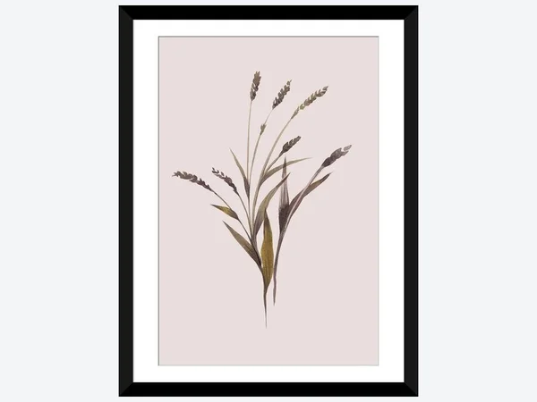 Framed Poster Prints - Wheat by Design Fabrikken ( Floral & Botanical > Plants > Grasses art)