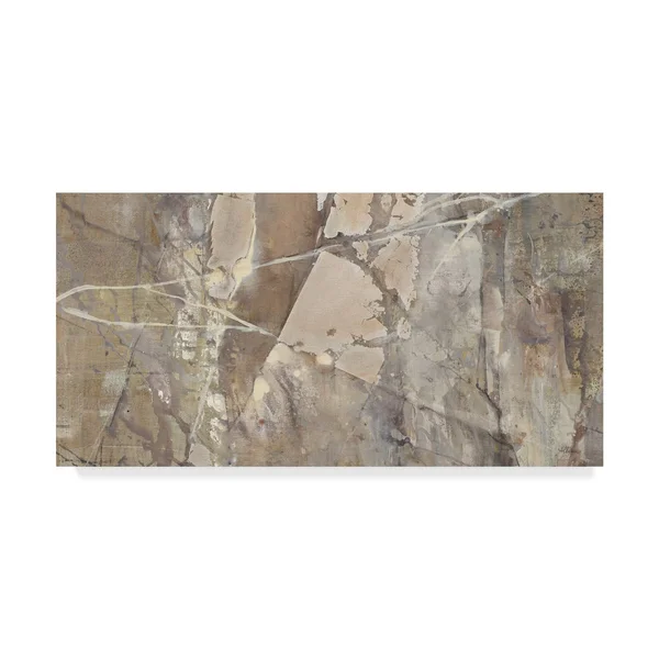 Trademark Fine Art 'Silver II Crop' Canvas Art by Albena Hristova - Size: 12 x 24