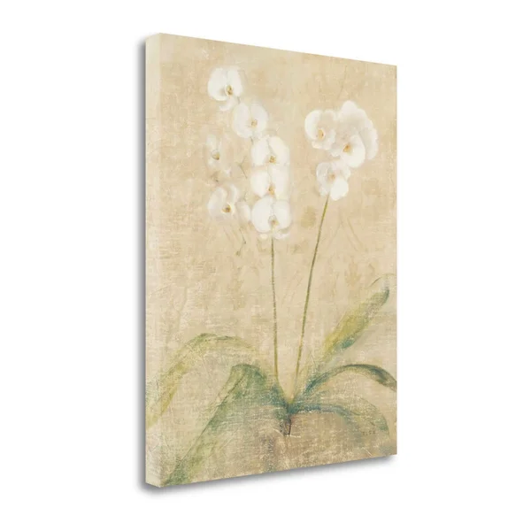 &Orchid Cool& Print on Canvas Tangletown Fine Art Size: 27x22 H x 21x22 W