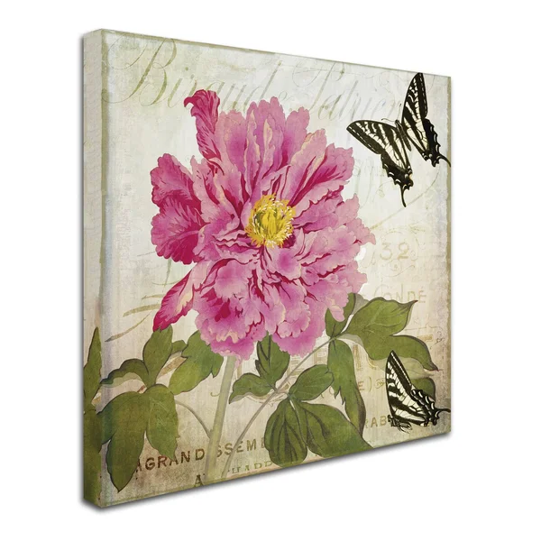 Trademark Fine Art Aja by Color Bakery, 18x18-Inch Canvas Wall Art