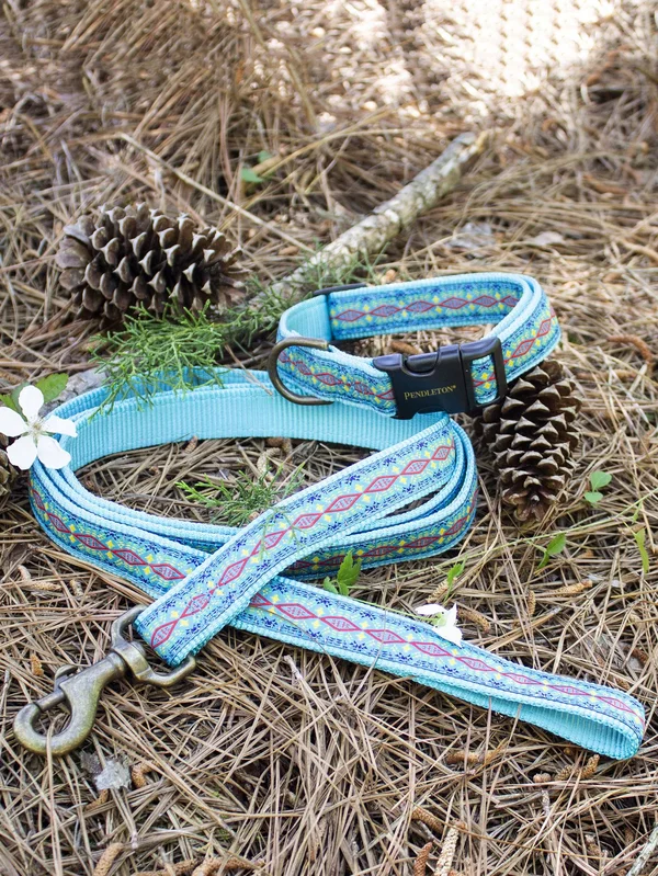 Pendleton Pet Diamond River Leash, Turquoise