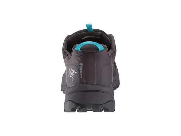 Arc&teryx Women's Norvan VT 2 GTX Shoe, Dimma/dark Firoza, Size 9.5