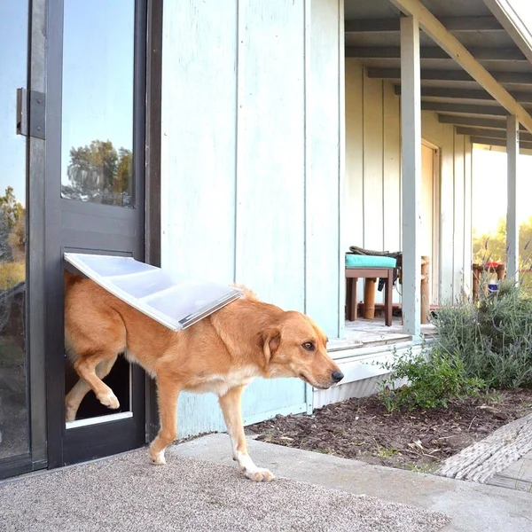 Endura Flap Pet Door Thermo Panel 3E Bronze Frame Small (77.25x2280.25x22)
