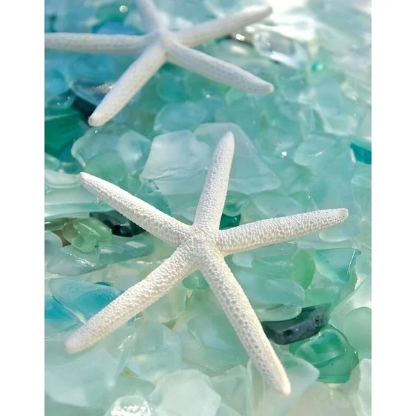 Easy Art Prints Alan Blaustein's 'Seaglass 1' Premium Canvas Art - 14 x 11 - Modern Black Frame