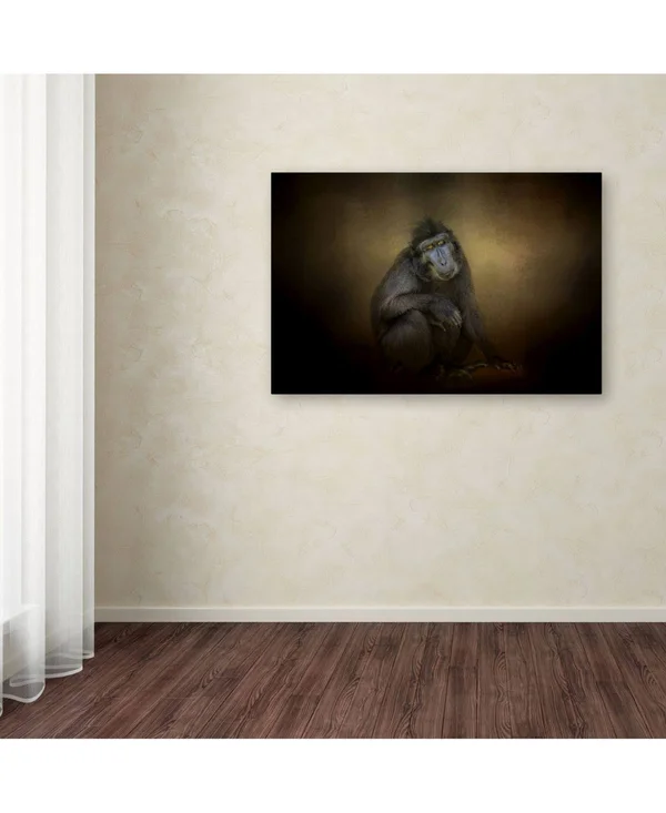 Trademark Art Jai Johnson 'Portrait of A Savannah Baboon' Canvas Art
