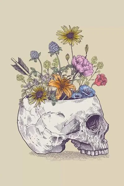 Framed Poster Prints - Half Skull Flowers by Rachel Caldwell ( Floral & Botanical > Flowers > Daisies art)