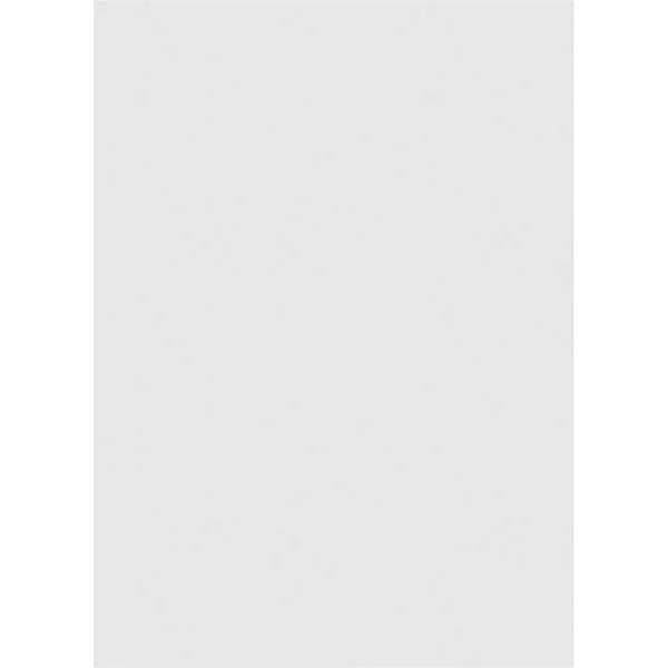 Ekena Millwork GVPVE38X2001SN 38x22W x 20x22H Vertical Surface Mount PVC Gable Vent: Non-Functional - w/ 3-1/2x22W x 1x22H Standa
