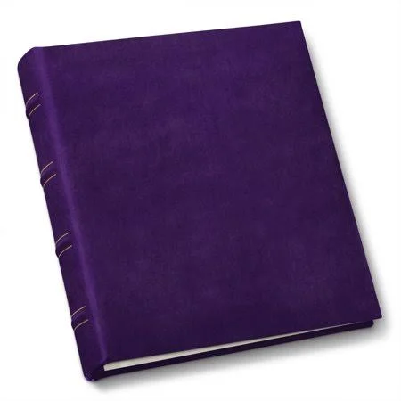 Leather Compact Photo Album by Gallery Leather, 9.25 inch x 8 inch, 30 Sheets/60 Pages, 120 Photos, Refillable, Acadia Plum, Pur