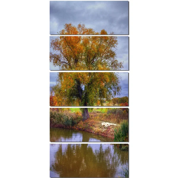 Design Art 'Willow Near Pond' Photographic Print on Wrapped Canvas, Green