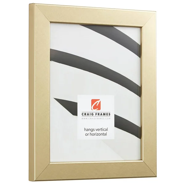 Craig Frames Bauhaus 125 - Modern Brushed Gold Picture Frame, 12 x 12 inch