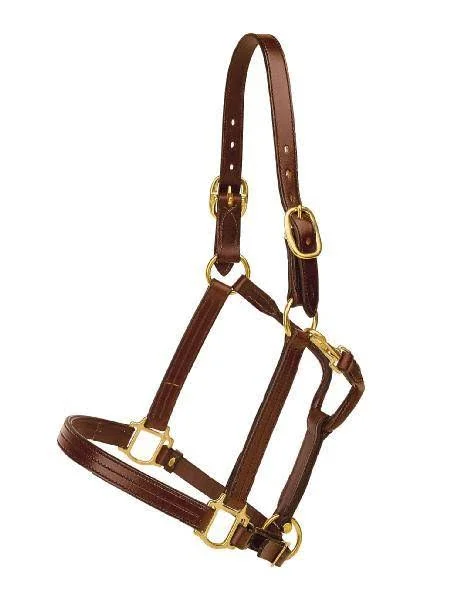 Tory Leather Triple Stitched Halter - Snap & Brass Hardware - Black