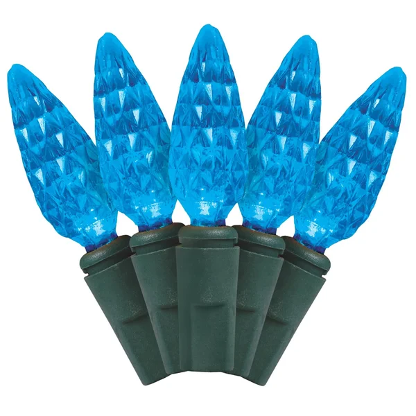 J Hofert C6 LED Light Set, Blue