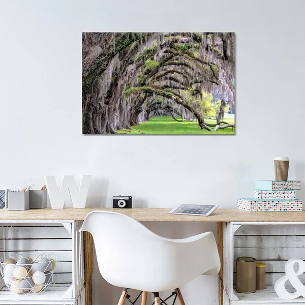 Hanging to The Right Canvas Artwork Print by Daniel Burt ( Floral & Botanical > Tree Art art)