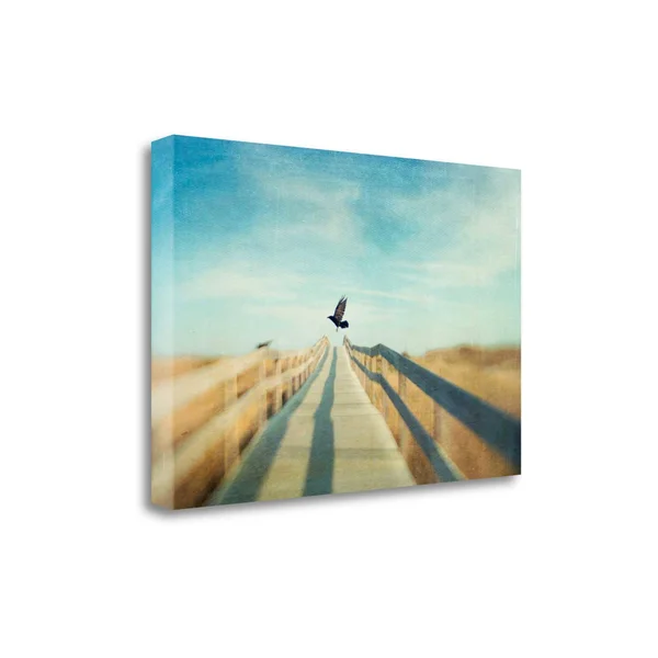 Fly by Dawn D. Hanna Fine Art Giclee Print on Gallery Wrap Canvas