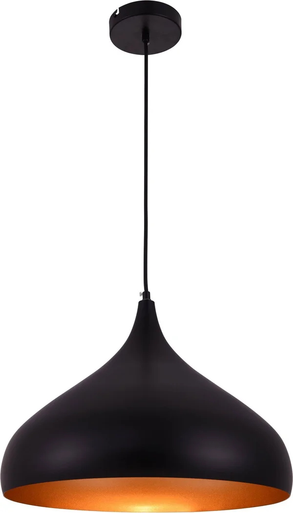 Circa 16.5x22 Black 1 Light Pendant LDPD2045