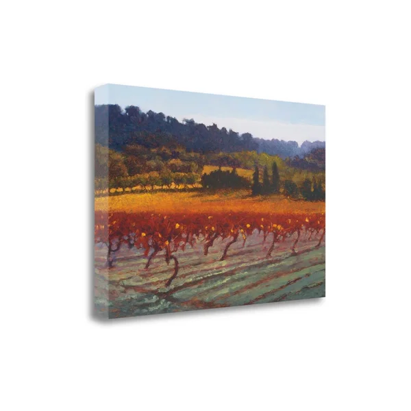 Tangletown Fine Art Saint Saturnin - L, Apt by Kent Lovelace, Giclee Print on Wrap Canvas, 39x22x26x22
