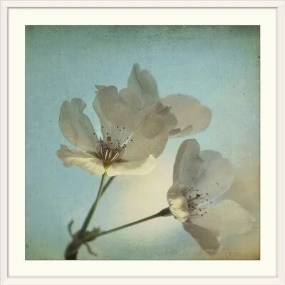 &Spring Sings& Dawn D. Hanna Photographic Print Great Big Canvas Format: White Frame, Size: 28x22 H x 28x22 W x 1x22 D