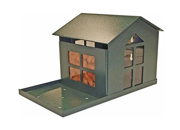 Squirrel Feeder Erva