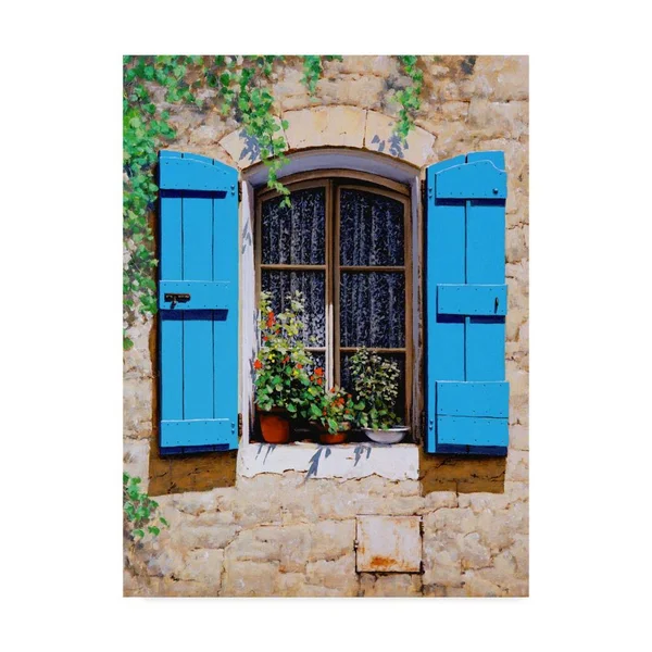 Trademark Fine Art Floral Framed 32-in H x 24-in W Country Print on Canvas, WAG00959-C2432GG