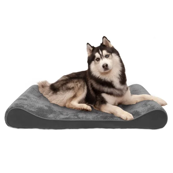 FurHaven Pet Bed - Memory Foam Minky Plush & Velvet Luxe Lounger Dog Bed - Jumbo - Gray