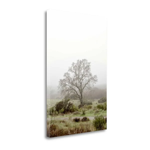 Tangletown Fine Art 'Oak Tree - 56' Photographic Print on Wrapped Canvas, Green