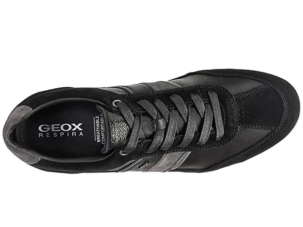 Geox, Sneakers, in Black, for Men, Wells, Size: 40
