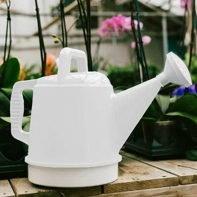 Hanish Watering Can Arlmont & Co. Color: Casper White