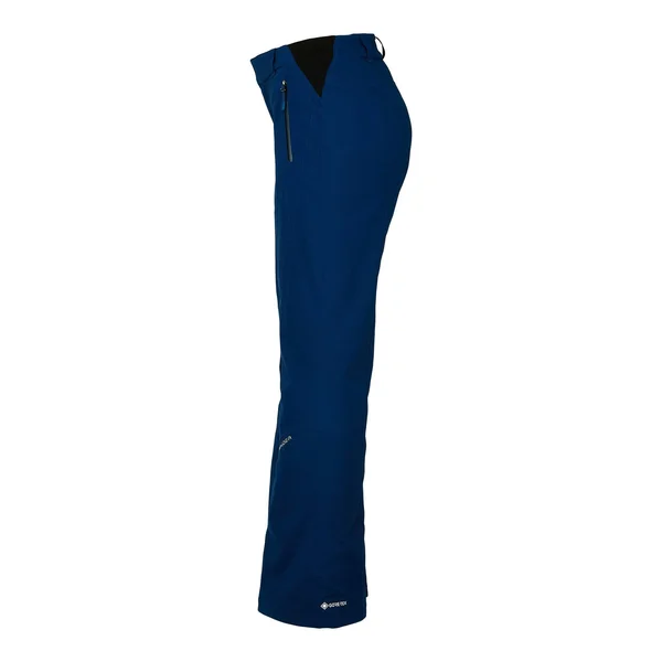 Spyder Winner Gore-Tex Pant - Women's Wish, 10/Reg