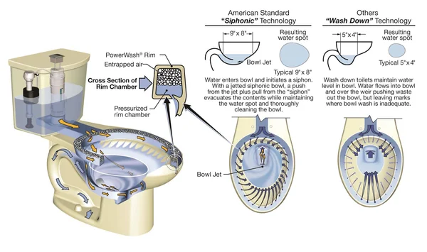 American Standard 4133A.218.021 H2Option Tank-Dual Flush Toilet in Bone