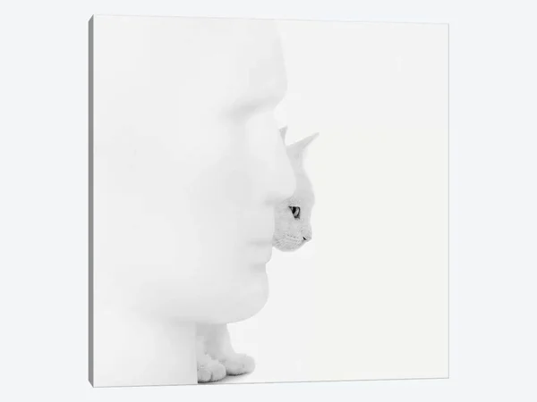 Jon Bertelli Paintings Canvas Art Prints - Mystique ( Animal Art > Cats art)