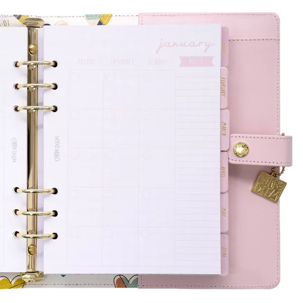 Carpe Diem A5 Planner-Ballerina Pink