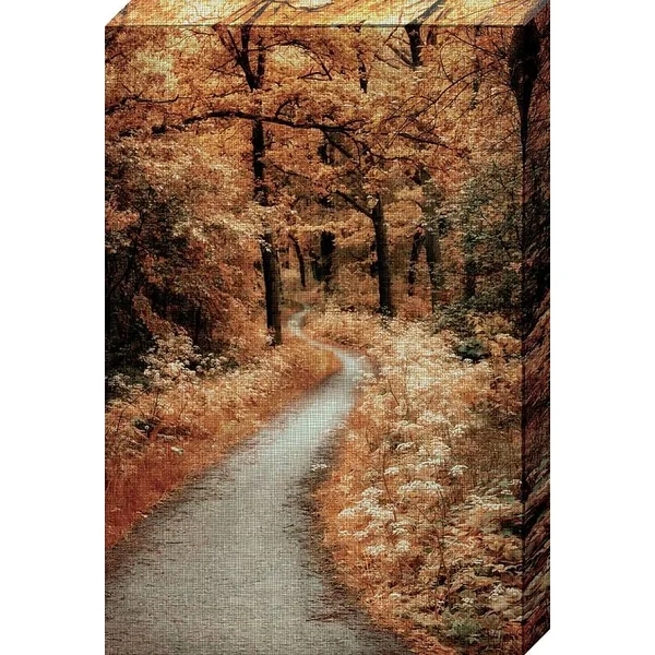 North American Art &Winding Path& by Lars Van De Goor Photographic Print on Wrapped Canvas Size: 24x22 H x 16x22 W x 2x22 D