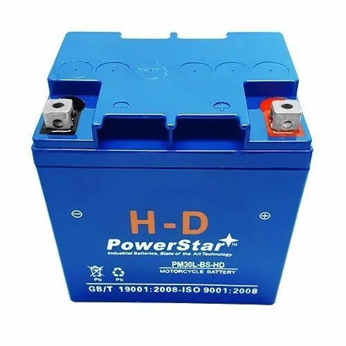 Tpwm732gh - Twin Power Battery Replacement 30l-bs-hd, Blue