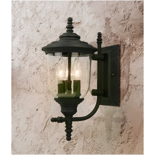 Eglo Lighting 202803A Outdoor Wall Light, Matte Black