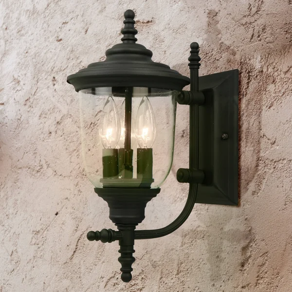 Eglo Lighting 202803A Outdoor Wall Light, Matte Black