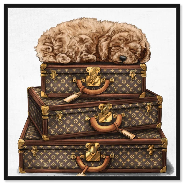 Oliver Gal Fashion and Glam Wall Art Framed Canvas Prints 'Sleeping Poodle' Travel Essentials - Brown - White - 24 x 24 - Gold