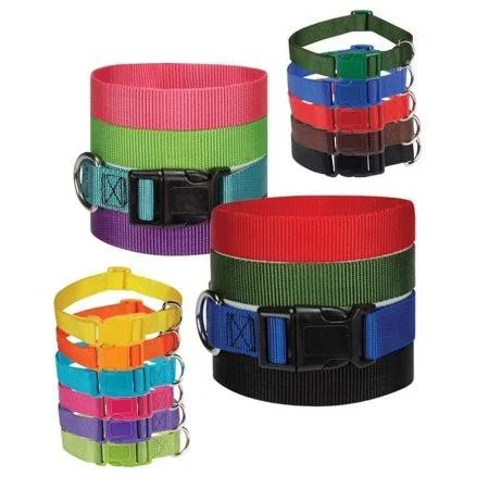 Dog Collar Bulk Packs Nylon Litter Band Puppy Rescue Shelter Pick Size & Amount (Medium - 14 to 20 inch, 8 Collars)