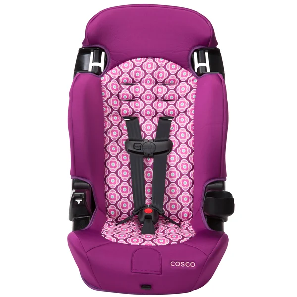 Cosco Finale 2-in-1 Booster Car Seat, Rosette