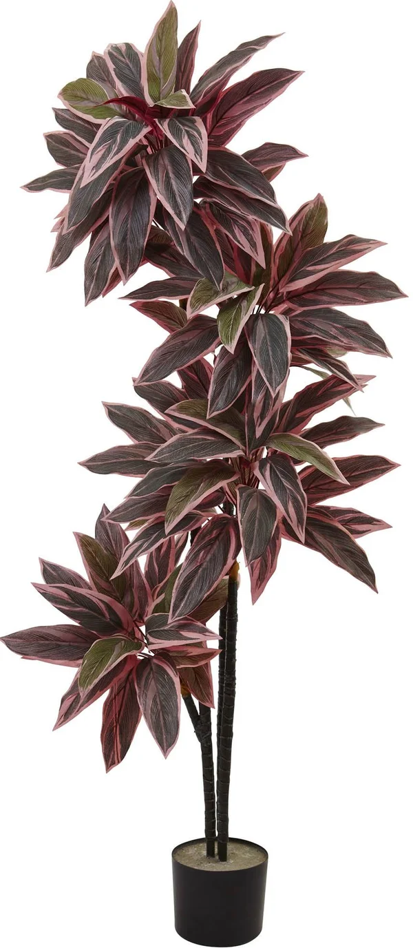 Nearly Natural Caladium Silk Plant