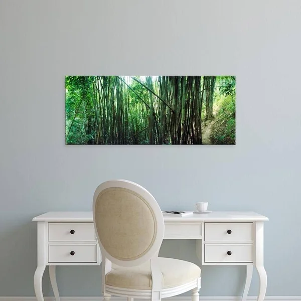 Easy Art Prints Panoramic Images's 'Bamboo Forest, Chiang Mai, Thailand' Premium Canvas Art - 12 x 30 - Brazilian Barnwood Frame