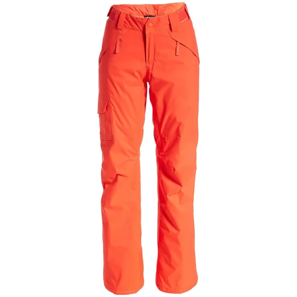 The North Face Men's Freedom Insulated Snow Pants