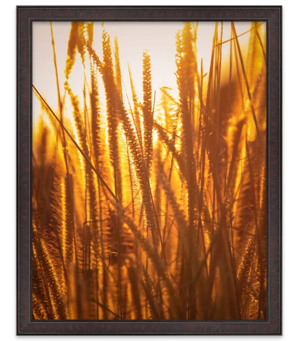 CustomPictureFrames.com 24x48 Stately Brown Wood Picture Frame - with Acrylic Front and Foam Board Backing