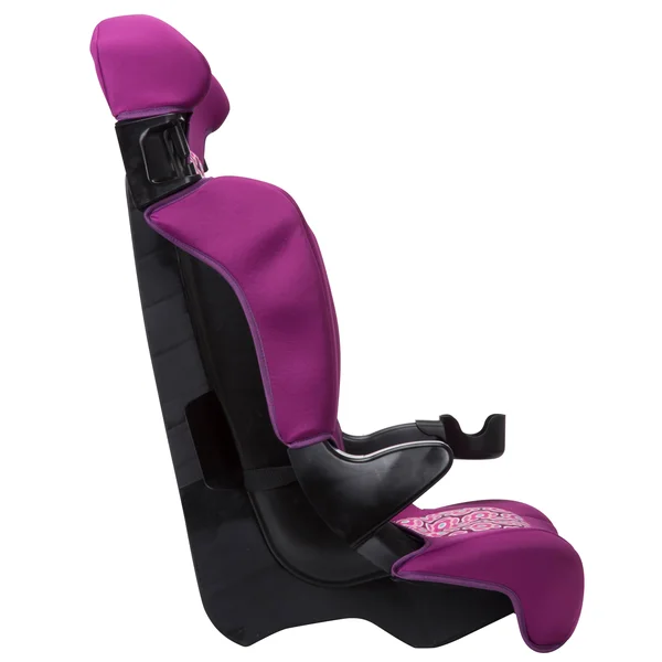 Cosco Finale 2-in-1 Booster Car Seat, Rosette