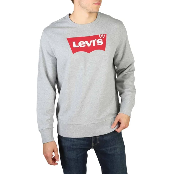 Levis - 17895_GRAPHIC - Grey - L