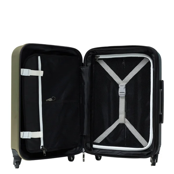 Sherpani Luggage Meridian 22x22 Crushproof Carry on Sage
