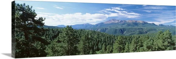 Trees in Front of Pike's Peak Mountain, Pike Peak National Forest, Colorado, Canvas Wall Art, 48x16, Great Big Canvas