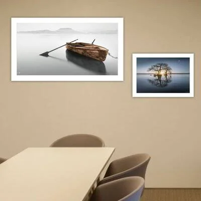'Tree Reflections' by Moises Levy - 2 Piece Picture Frame Photograph Print Set on Paper Loon Peak Format: White Framed